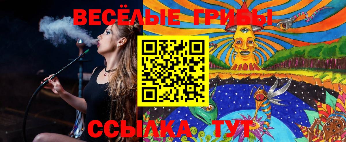 Галлюциногенные грибы Psilocybe  Вход с VPN  Сатка 